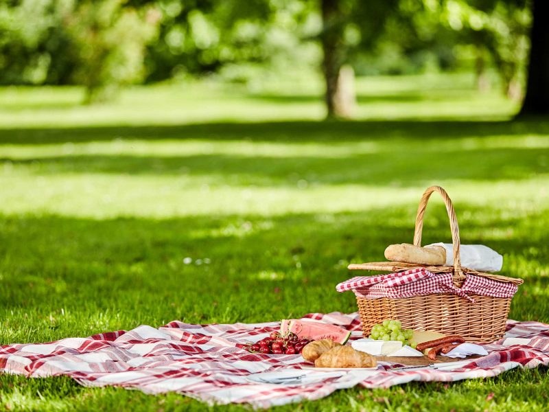 Picnic