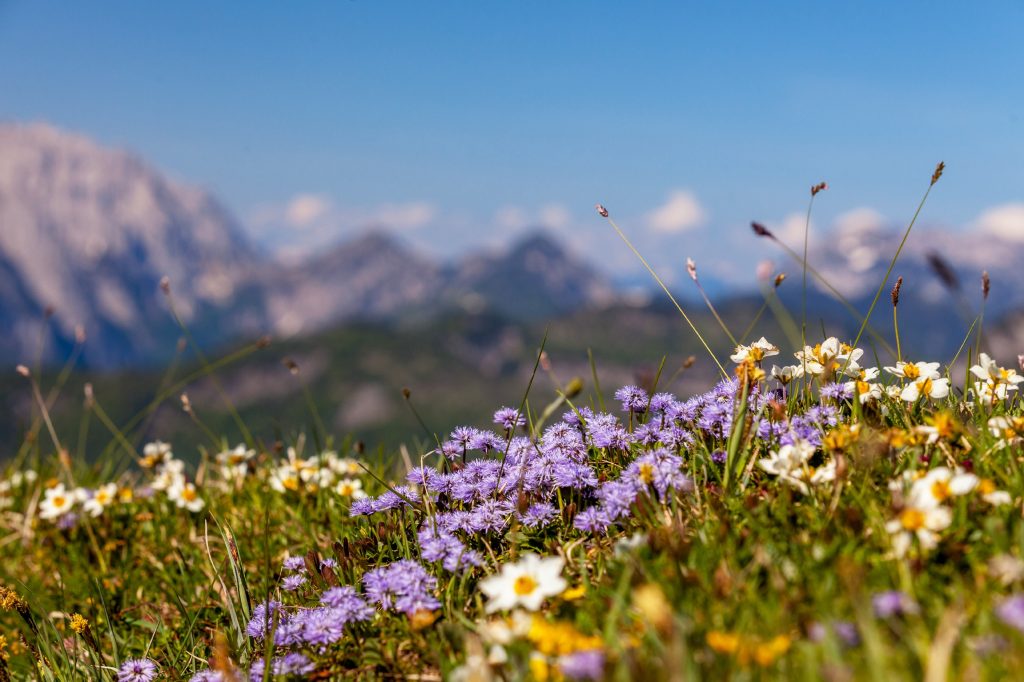 Landgasthof Karner Chiemgauer Alpen