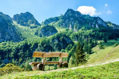 Aussicht Chiemgauer Alpen Priener Hütte