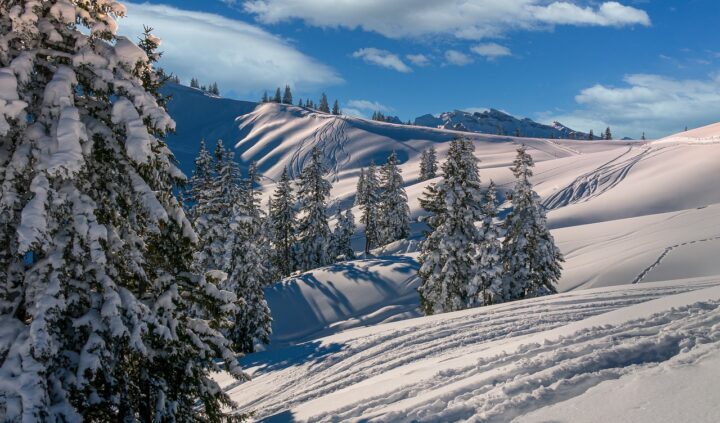 Winter 4680713 1280 Winter 4680713 1280