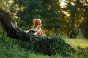 Adobestock 115828647