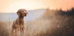 Adobestock 200121413 Erweitert