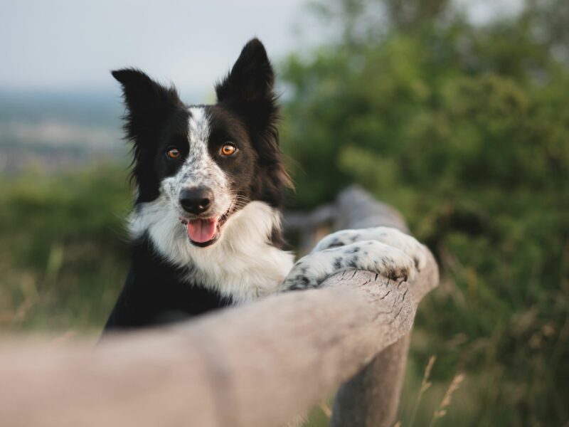 Adobestock 574616478