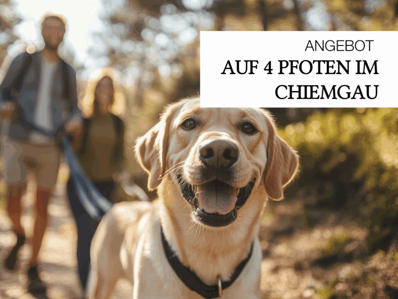 Hunde Package Karner Hunde Package Karner